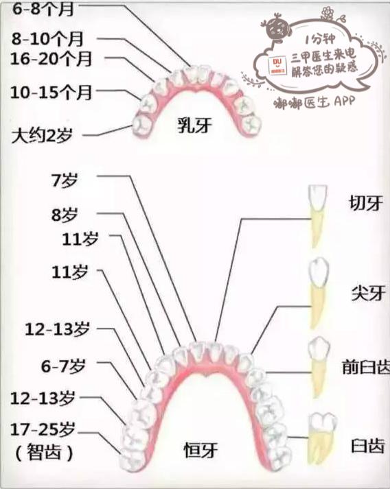 寶媽必看10張圖，60秒讀懂寶寶的各項生理指標！