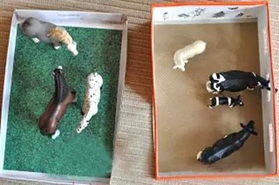 舊鞋盒千萬別扔,居然能做這麼多東西!