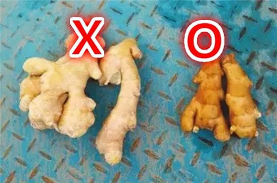 驚!賣菜阿姨不告訴你的「買菜秘訣」!原來要「這樣挑」才不會買到有化學添加的騙人爛蔬菜!難怪隔壁阿媽有事沒事都亂笑我!是我