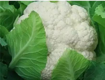 驚!賣菜阿姨不告訴你的「買菜秘訣」!原來要「這樣挑」才不會買到有化學添加的騙人爛蔬菜!難怪隔壁阿媽有事沒事都亂笑我!是我