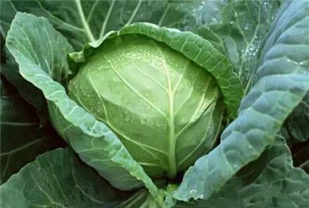 驚!賣菜阿姨不告訴你的「買菜秘訣」!原來要「這樣挑」才不會買到有化學添加的騙人爛蔬菜!難怪隔壁阿媽有事沒事都亂笑我!是我