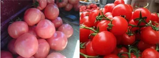 驚!賣菜阿姨不告訴你的「買菜秘訣」!原來要「這樣挑」才不會買到有化學添加的騙人爛蔬菜!難怪隔壁阿媽有事沒事都亂笑我!是我