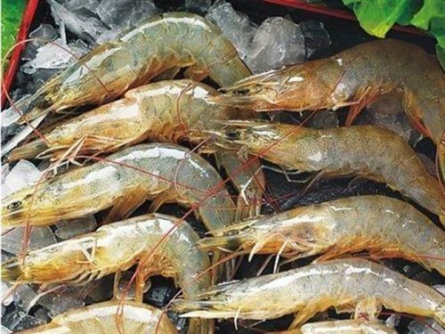 千萬別買!超市裡最髒的7大食物,連水果都中了(組圖)