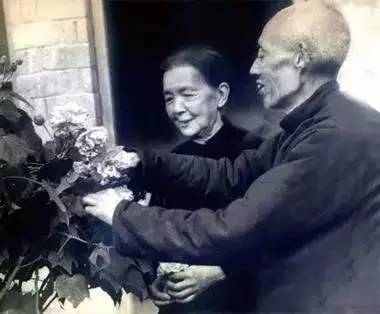母親老了,這些話請不要說!因為這就像一百萬根針,根根刺進他們心裡!!