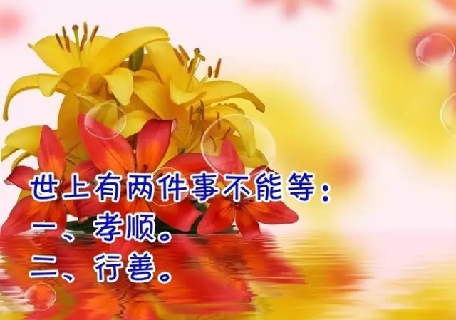 母親老了,這些話請不要說!因為這就像一百萬根針,根根刺進他們心裡!!