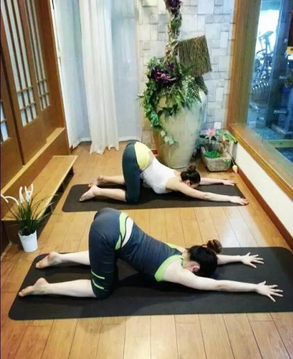 全套入門瑜伽25式,初學者必備!減肥又健身!!!