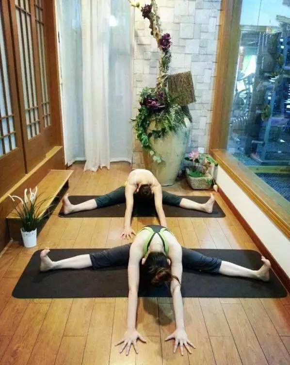 全套入門瑜伽25式,初學者必備!減肥又健身!!!