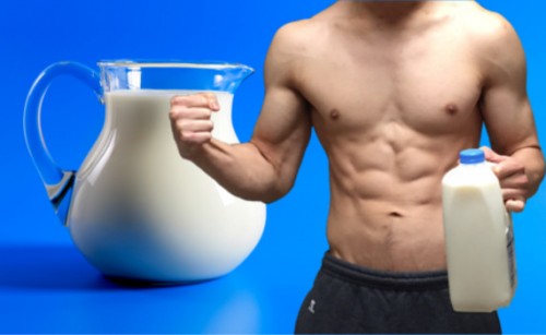 喝牛奶真的可以使肌肉更結實嗎？