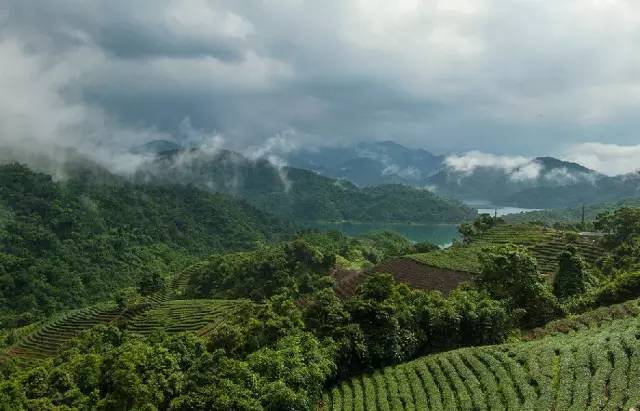 台灣美景 | 那些富有靈性的美景,猶如沉睡的仙境!