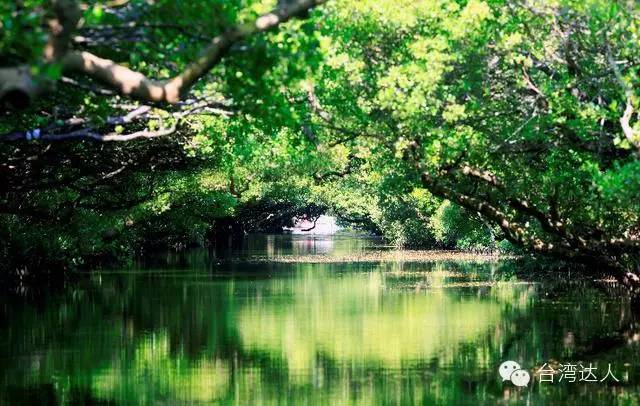 細數那些易被忽略的台灣美景,值得你細細感受台灣!