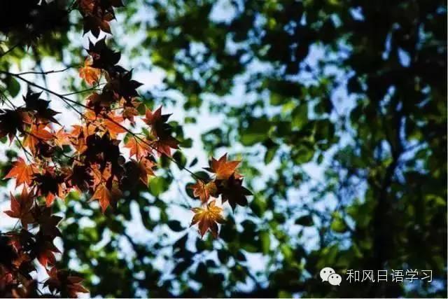 一年四季那麼美,什麼時候去日本最合適?