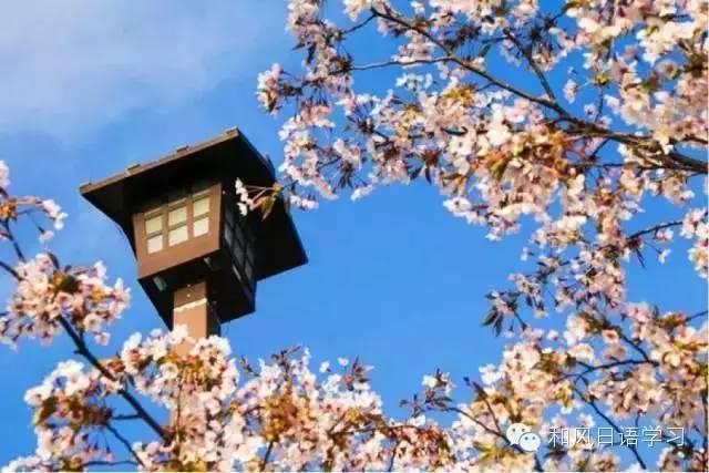 一年四季那麼美,什麼時候去日本最合適?