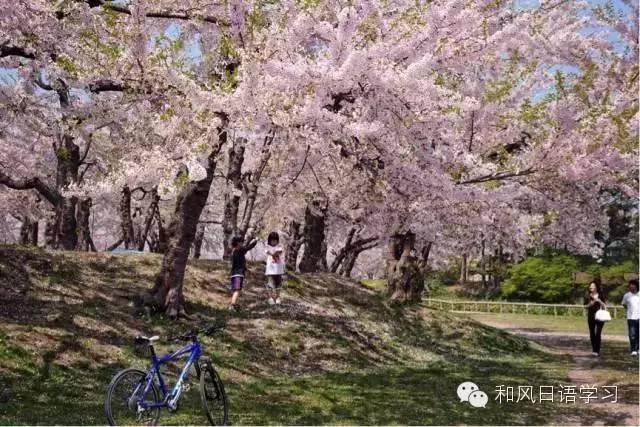 一年四季那麼美,什麼時候去日本最合適?