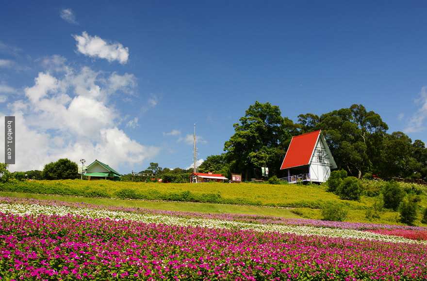 計劃到台灣旅遊嗎？ 40個台灣特色景點好介紹！