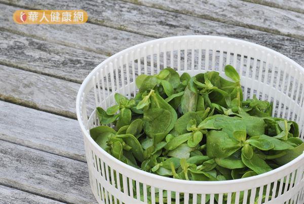 改善泌尿道感染!超級野菜「豬母奶」好料理