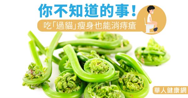 你不知道的事!吃「過貓」瘦身也能消痔瘡