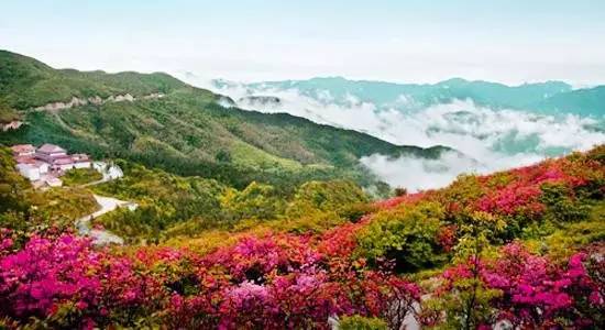 三四月的台灣居然美成這樣——讓人不得不愛