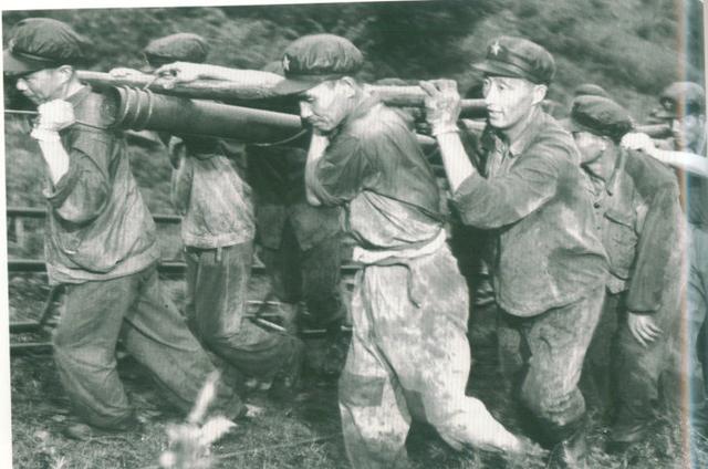 深圳為何能在十年間從小鎮建成大都市?解放軍這兩個兵種功不可沒