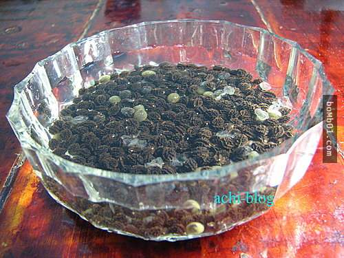 只要在吃完木瓜後把種子像這樣放在盤子中,20天後超茁壯的成果會讓你後悔以前都當垃圾扔!