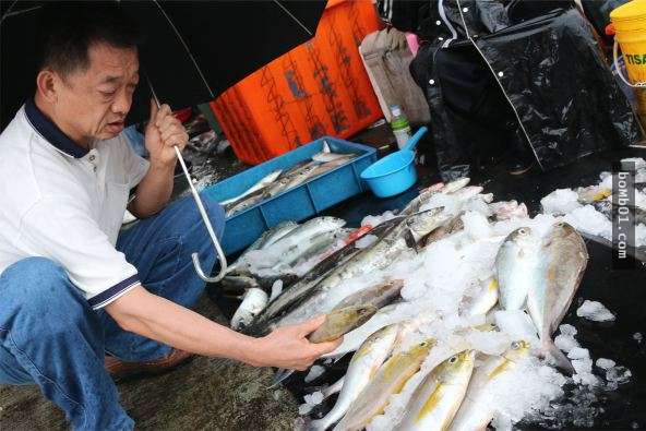 台大正妹放棄國外優渥的工作回到家鄉賣魚,原因竟然是因為「爸爸的一通電話」!
