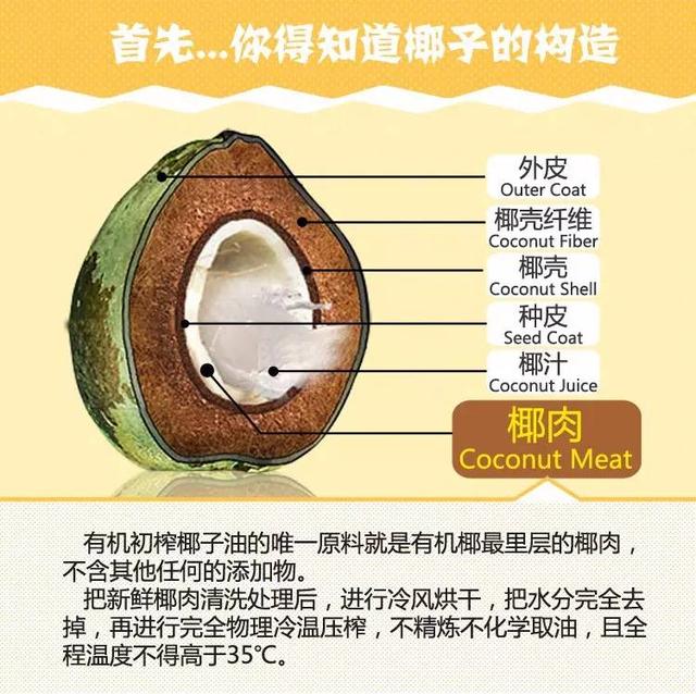 她滴了幾滴「這個」在頭髮上後,「乾燥」、「落髮」還是「白髮」在幾天後就解決了!