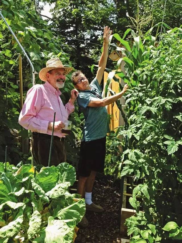 1平米的菜園，讓全家人吃上放心新鮮蔬菜，歡迎分享~