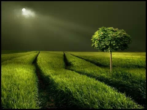 時間只是過客, 自己才是主人