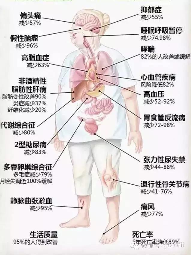 體脂率下降5%，變化竟然如此驚人，請告訴身邊減肥的人！