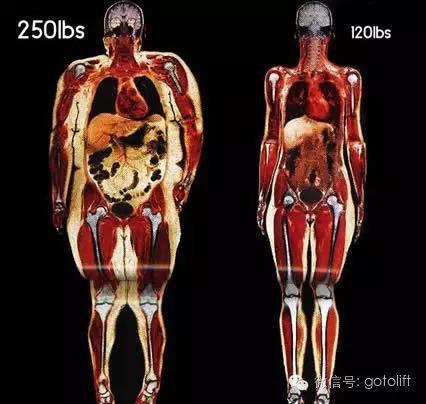 體脂率下降5%，變化竟然如此驚人，請告訴身邊減肥的人！