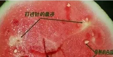 這樣的西瓜不能吃!教你如何分辨「打針西瓜」