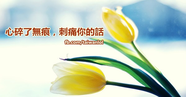 心碎了無痕,刺痛你的話