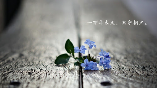 再深的感情,不懂珍惜也會斷