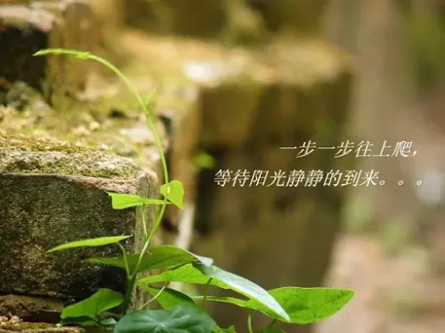不知不覺中，我們都變了……