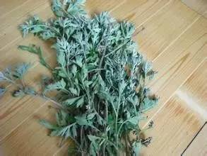 呵護女人一生的「萬用草」!能掃凈人體內惡寒,可惜很少有人知道~