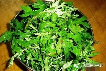呵護女人一生的「萬用草」!能掃凈人體內惡寒,可惜很少有人知道~