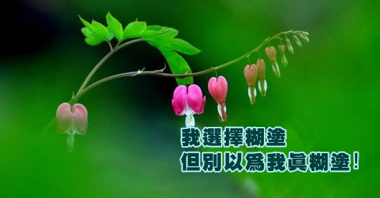 我選擇糊塗,但別以爲我真糊塗!