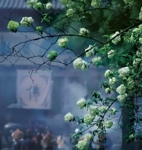 一路走來，你若懂我，該有多好。