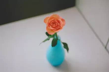 14806886652250.jpg
