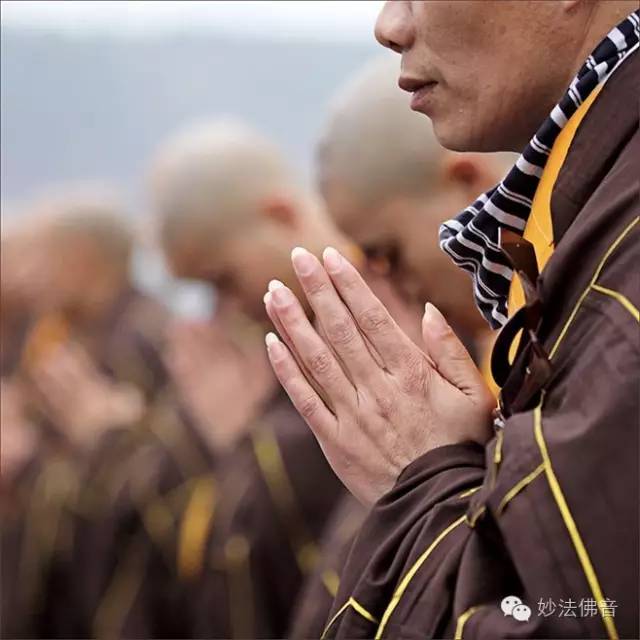 14808177963711.jpg