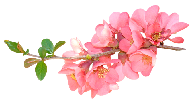 14419602953061.png
