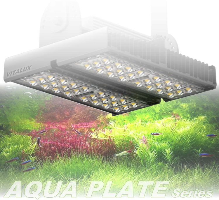 AQUA-PLATE-DM2.jpg