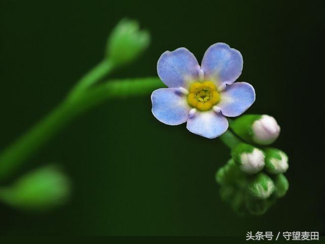 不亂於心，不困於情