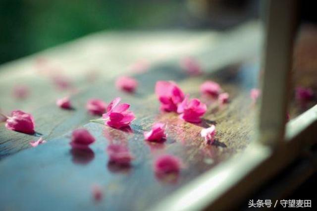不亂於心，不困於情
