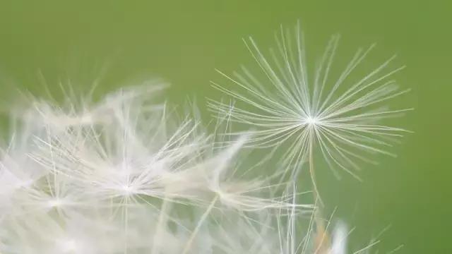 一人一路一輩子