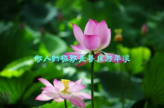 做人不能太善良,說的真好