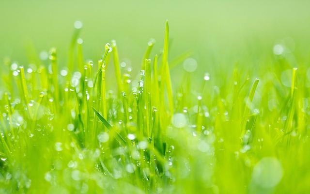 世界依然風風雨雨,人生過客你還是你