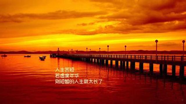 最怕你一生碌碌無為,還安慰自己平凡可貴,戳中了很多人