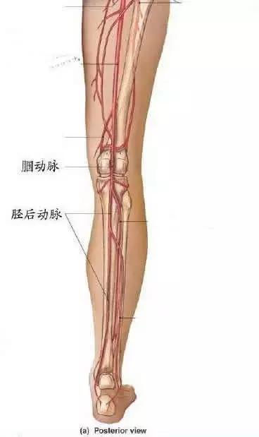 這個動作能讓你知道你的血管是否堵了,趕緊來測測!