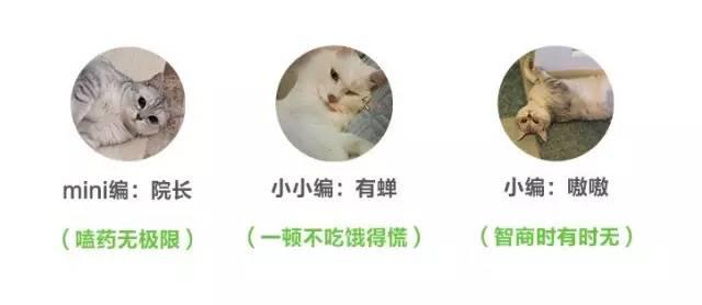 8個一生不可錯過的童話小鎮，這才是真正的歐洲