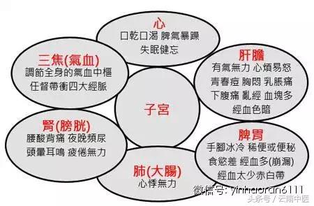 殷浩然:女人為什麼胖在腰部?